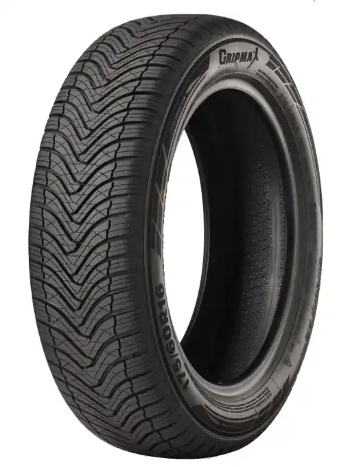 215/65R16 98H SUREGRIP A/S NANO PJ BSW CH MS 3PMSF (E-9.2) GRIPMAX Transport gratuit