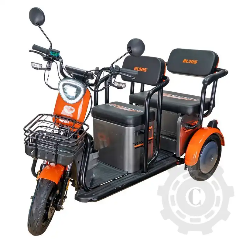 Livrare gratuită TRICICLU ELECTRIC RURIS PILOT3020G