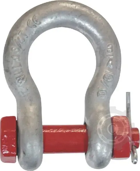 CHEIE TACHELAJ SUDATA 5/8" Popular